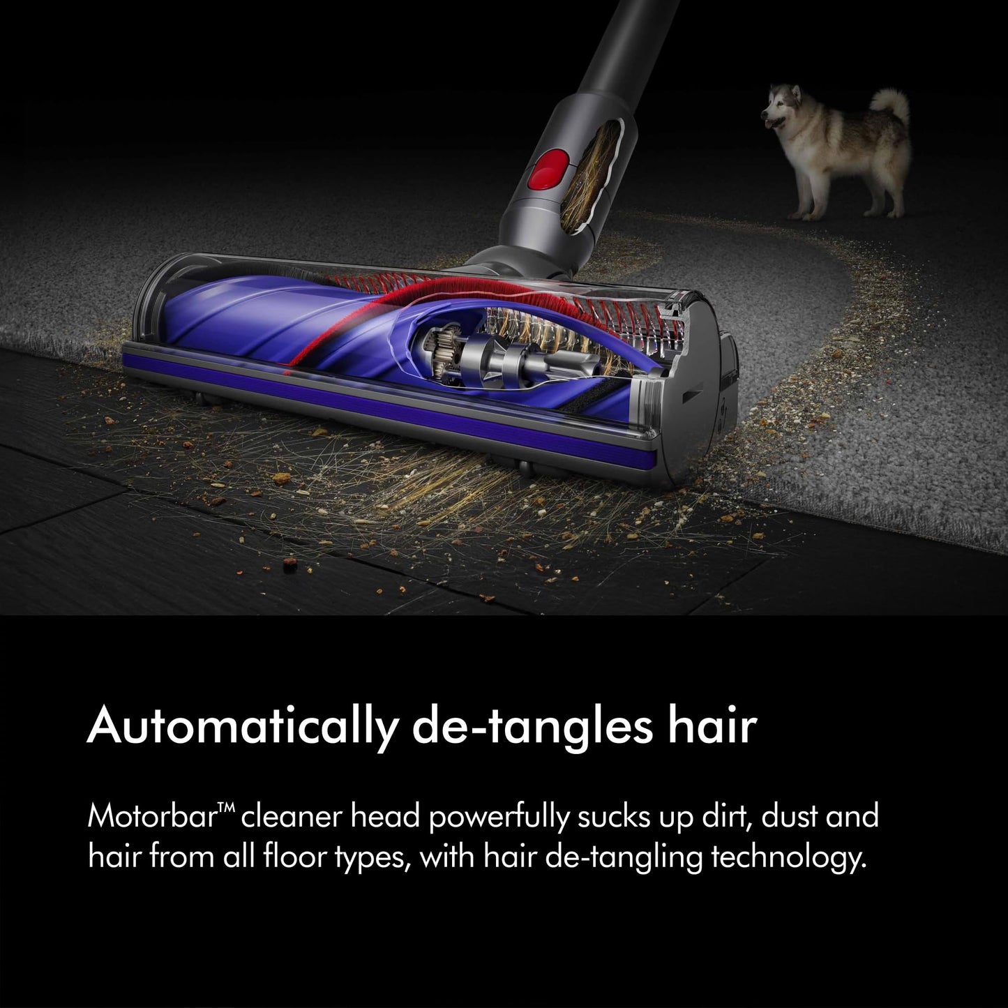 Dyson V8 Absolute Cordless Vacuum Cleaner, 115 AW, up to 40 min runtime, De-tangling Motorbar, removes Pet hair, Fluffy cleaner head, cordless handheld